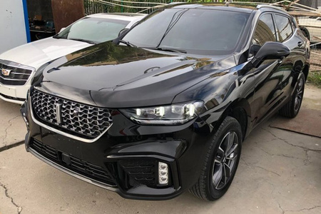广安二手魏牌VV5 2019款 1.5T 双离合 两驱 颜先锋